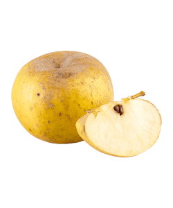 Pommes Reinette Clochard Bio Demeter